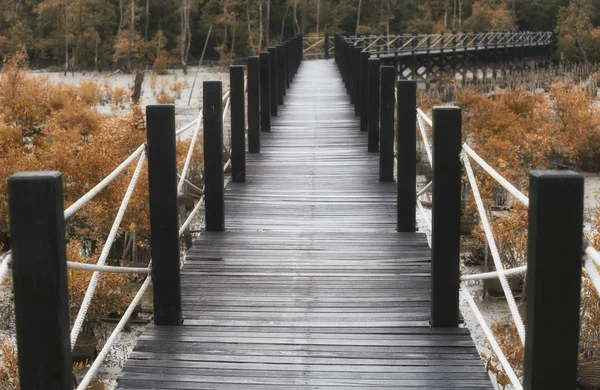 Puente de madera de pasarelas en bosque de manglares con hojas de otoño . — Foto de Stock
