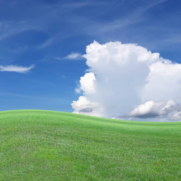 Green Field og blå himmel udsigt . - Stock-foto