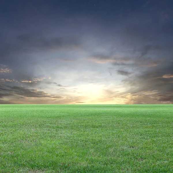 Champ vert et coucher de soleil vue sur le ciel . — Photo