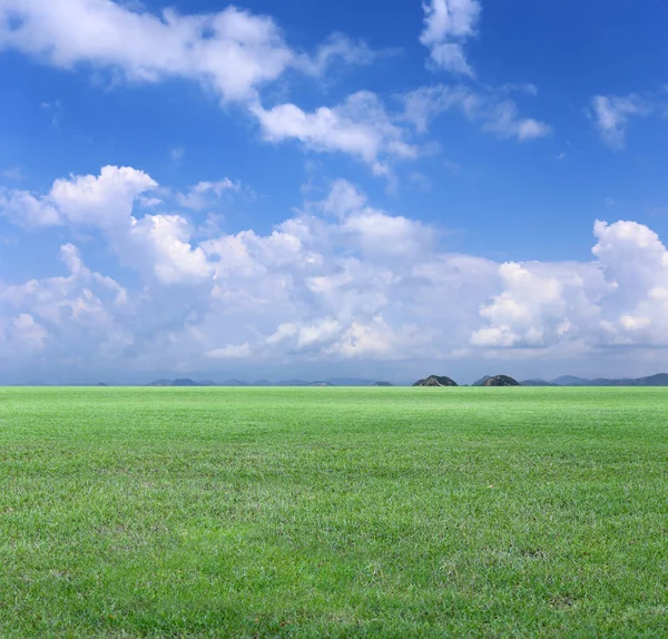 Green Field and Blue sky view. — Stock Photo, Image
