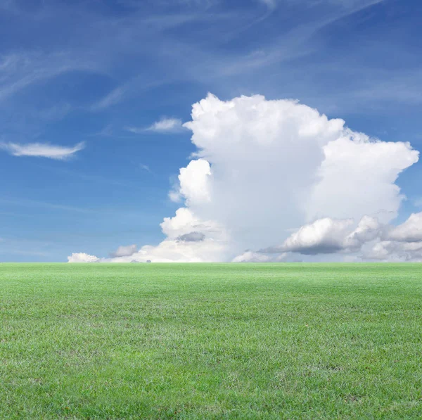 Campo verde e vista cielo blu . — Foto Stock
