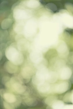 Soyut doğa bulanık bokeh arka plan.