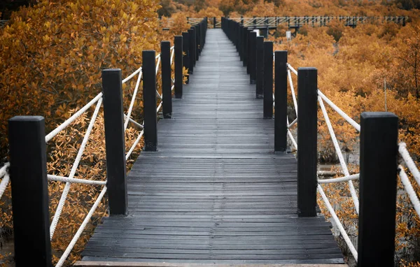 Puente de madera de pasarelas en bosque de manglares con hojas de otoño . — Foto de Stock