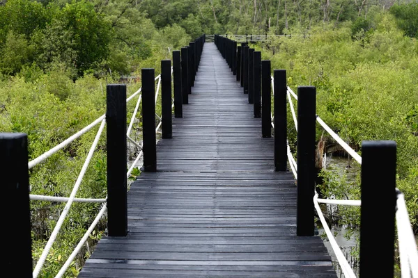 Puente de madera de pasarelas en bosque de manglares con hojas verdes . — Foto de Stock