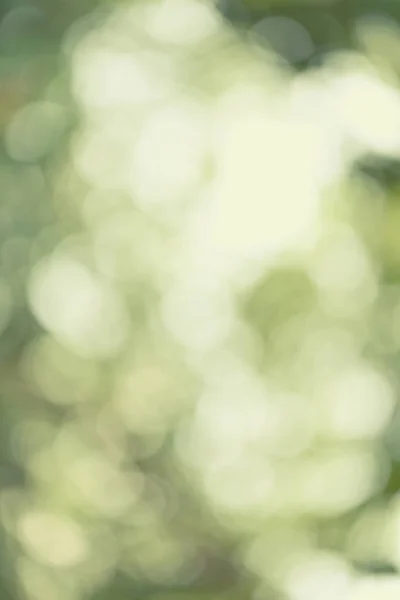 Abstract nature bokeh blurred background. — Stock Photo, Image