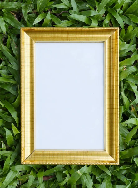 Gold picture frame on green lawn in top view.