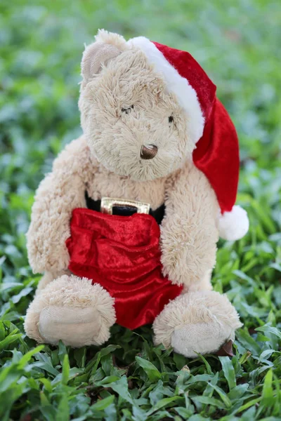 Teddy bear sit on the lawn. — Stock Photo, Image