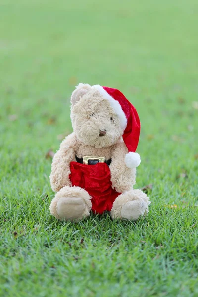 Медведь Тедди сидит на лужайке. . — стоковое фото