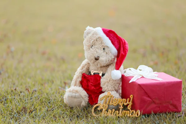 Teddy Beer en geschenkdozen op het grasveld. — Stockfoto