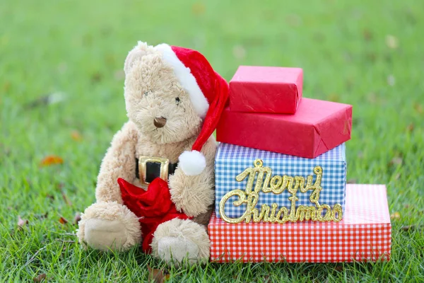 Teddybär und Geschenkboxen auf dem Rasen. — Stockfoto