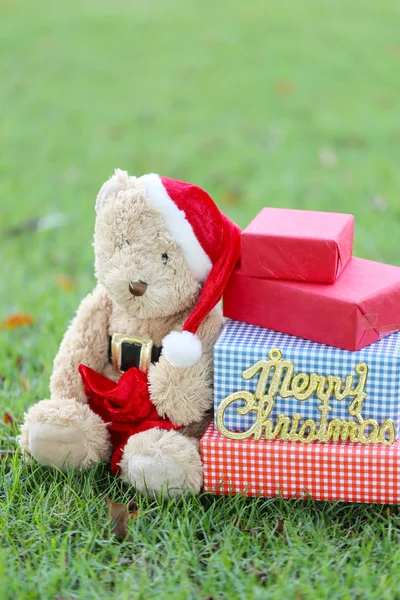 Teddybär und Geschenkboxen auf dem Rasen. — Stockfoto