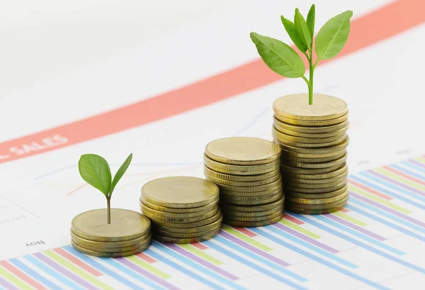 Pila de monedas de plata del gráfico de negocios y tienen copa de árbol en los negocios —  Fotos de Stock