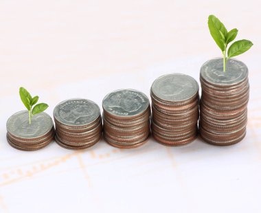 Gümüş sikke yığını ve treetop.