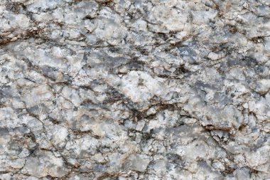 Doku içinde yıpranmış ve doğal yüzeylere sahip eski taş.