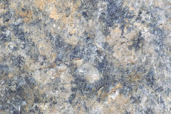 Doku içinde yıpranmış ve doğal yüzeylere sahip eski taş.