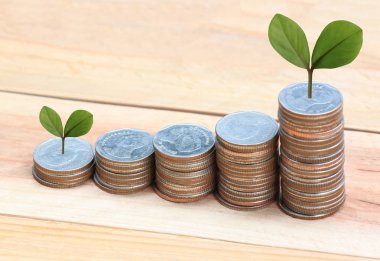 Gümüş sikke yığını ve treetop.