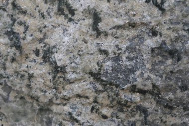 Doku içinde yıpranmış ve doğal yüzeylere sahip eski taş.