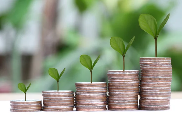 Jonge plant geteeld op stapel zilveren muntstuk in zakelijke groei concep — Stockfoto