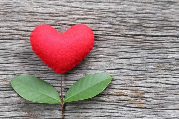 Красное сердце, расположенное на старом деревянном столе в соединении с ветвями — стоковое фото