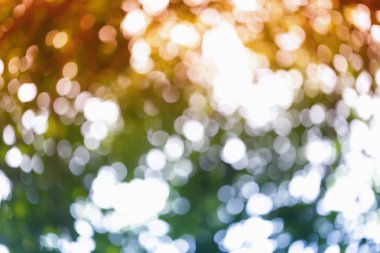Soyut doğa bulanık bokeh arka plan.