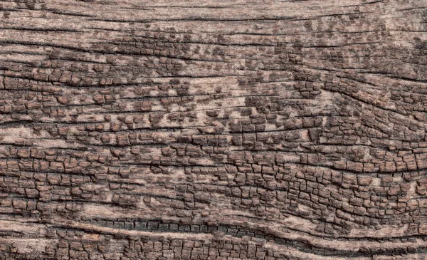 Old wood texture. — Stock Photo, Image