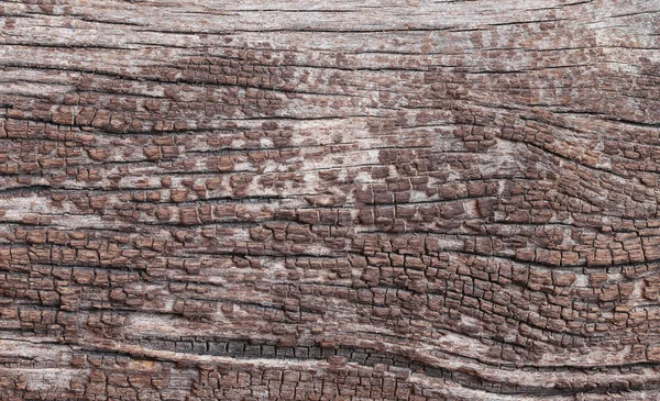 Texture bois ancien. — Photo