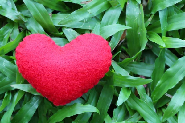 Red heart on the green lawn. — Stock Photo, Image