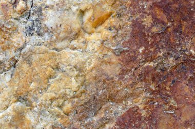 Doku içinde yıpranmış ve doğal yüzeylere sahip eski taş.