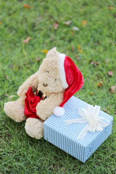 Медвежонок Тедди и подарочные коробки на газоне . — стоковое фото