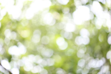 Soyut doğa bulanık bokeh arka plan.