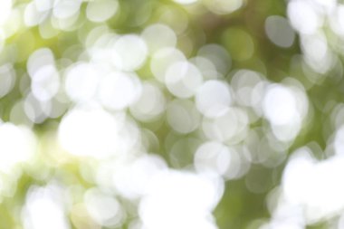 Soyut doğa bulanık bokeh arka plan.