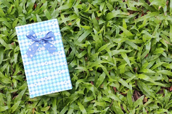 在绿色的草坪上的蓝色礼品盒。. — 图库照片