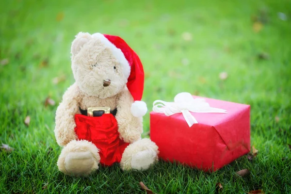 Teddybär und Geschenkboxen auf dem Rasen. — Stockfoto