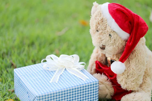 Teddy Beer en geschenkdozen op het grasveld. — Stockfoto
