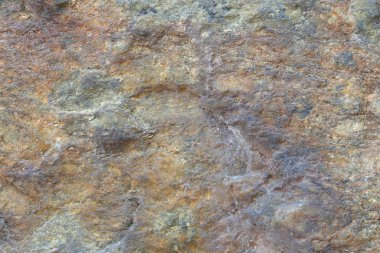 Doku içinde yıpranmış ve doğal yüzeylere sahip eski taş.