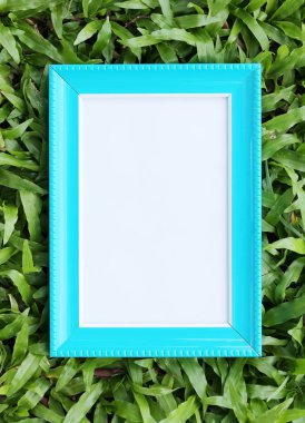 Üstten Görünüm içinde yeşil çim üzerinde mavi resim çerçevesi.