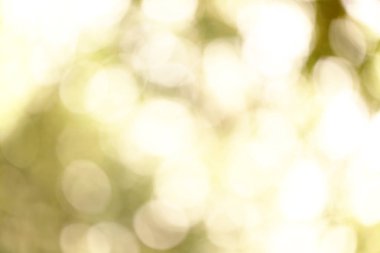 Soyut doğa bulanık bokeh arka plan.