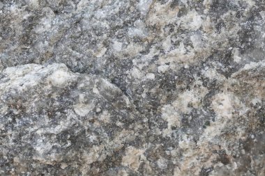 Doku içinde yıpranmış ve doğal yüzeylere sahip eski taş.