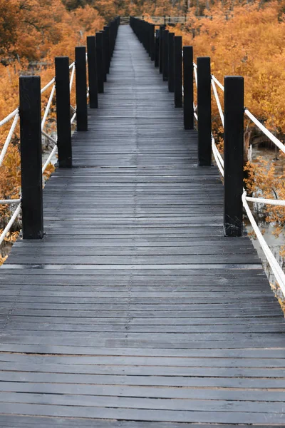 Ponte di legno di passerelle nella foresta di mangrovie con foglie autunnali . — Foto Stock