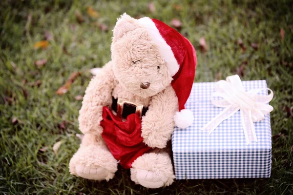 Teddybär und Geschenkboxen auf dem Rasen. — Stockfoto