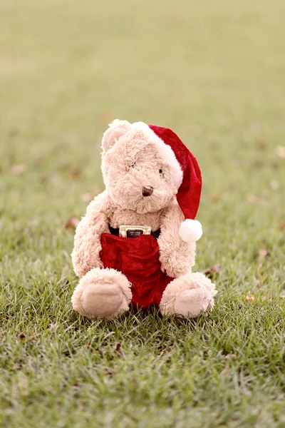 Teddybär sitzt auf dem Rasen. — Stockfoto