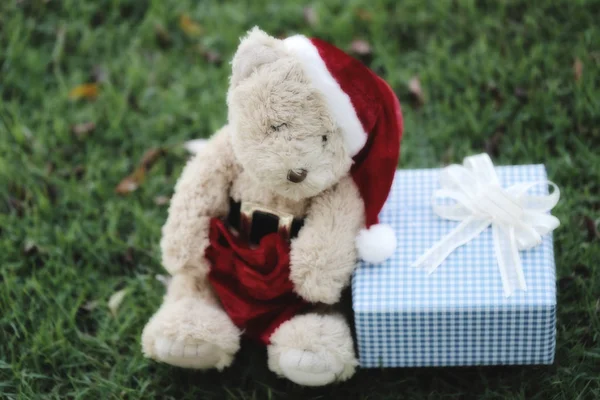 Teddybär und Geschenkboxen auf dem Rasen. — Stockfoto