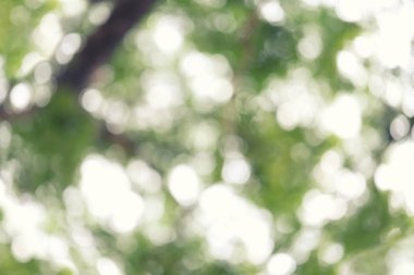 Soyut doğa bulanık bokeh arka plan.
