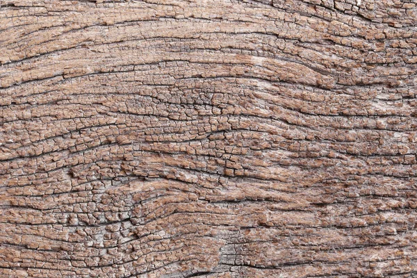 Old wood texture. — Stock Photo, Image