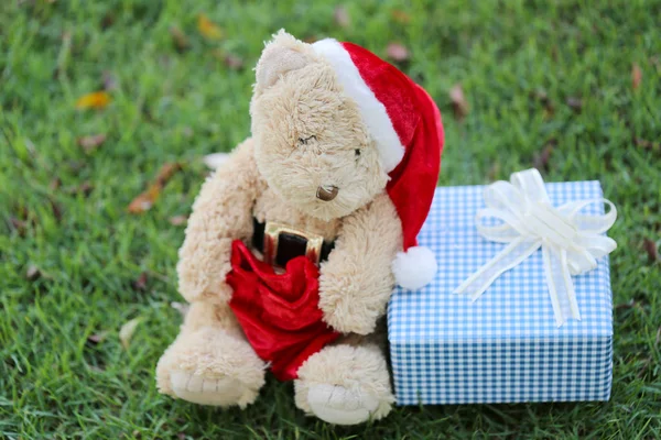 Teddybär und Geschenkboxen auf dem Rasen. — Stockfoto
