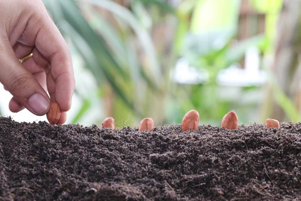 Man Händer Planterar Frön Marken Idén Att Starta Aktivitet Och — Stockfoto