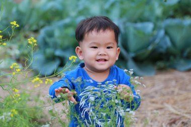 Sebze bahçesinde, Asya çocuk kavramı zekâ portre fotoğrafçılığı Tayland mutlu çocuk.