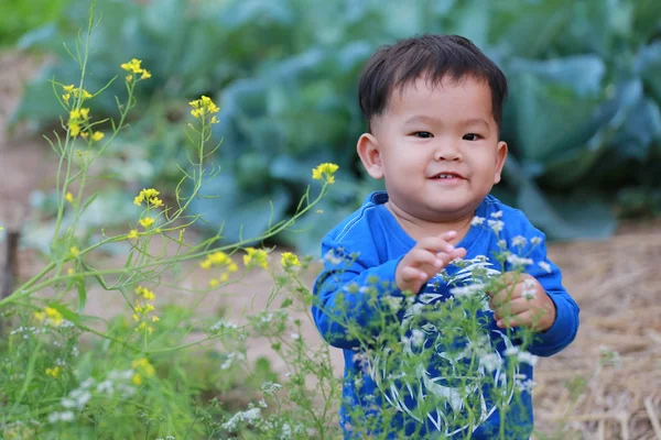 泰国快乐男孩在菜园里 肖像摄影在亚洲儿童的概念可爱 — 图库照片