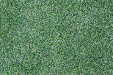 Yeşil yapay çim.