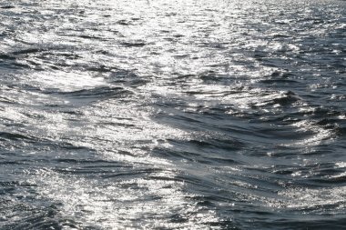 deniz dalga hits sabah güneş ışığı.